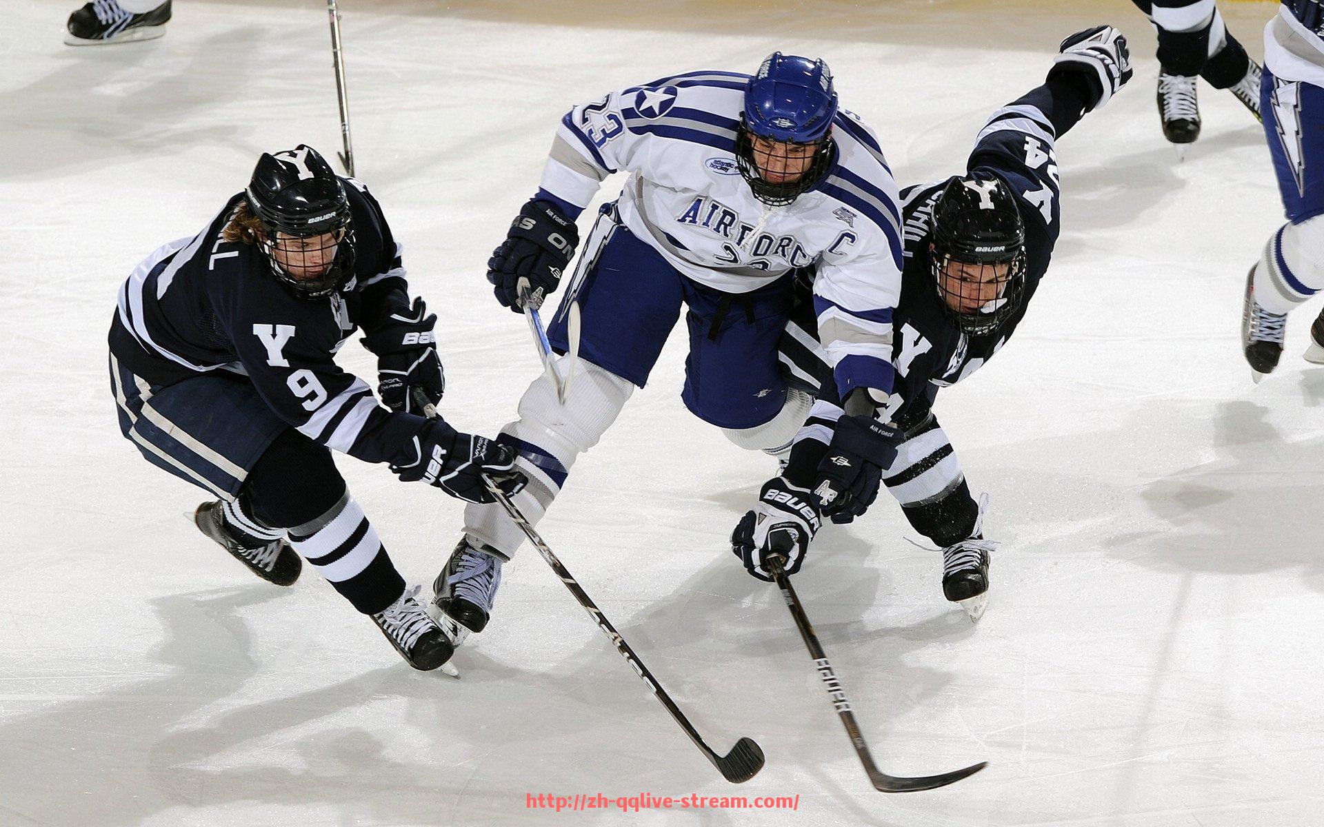 企鹅直播-家用健身器材图片及功能对比
